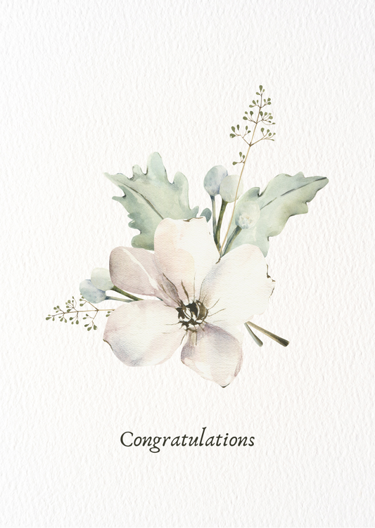 Congratulations 02